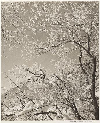 LAURE ALBIN-GUILLOT. Ciels.